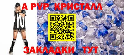 тгк Кингисепп