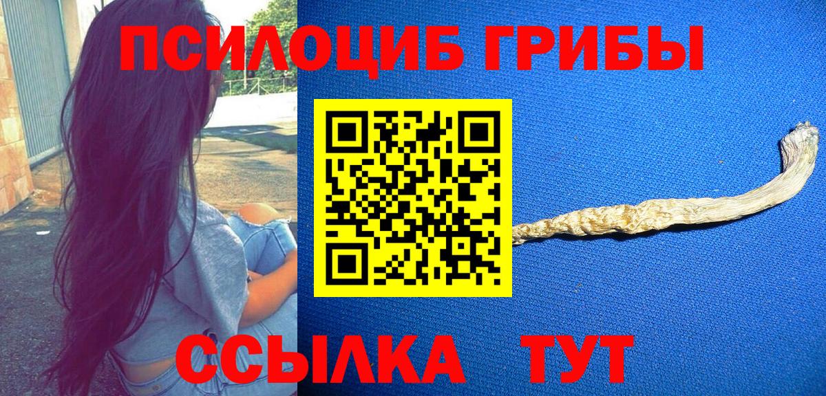 Галлюциногенные грибы MAGIC MUSHROOMS  Вход с VPN  Петровск 