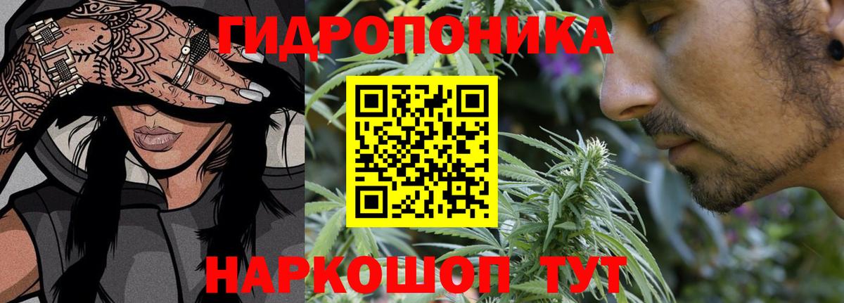 Конопля White Widow  МАРИХУАНА конопля  Петровск  Вход с VPN 